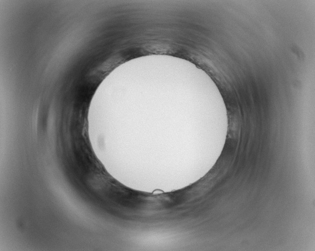 X0000116450334201001051229