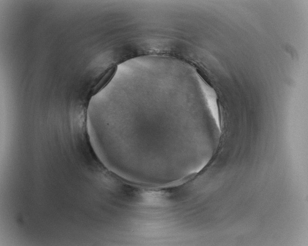 X0000116450336201001051229
