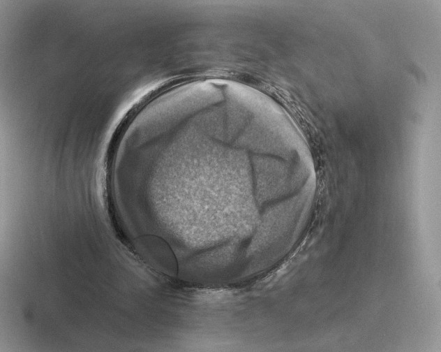 X0000116450342201001051228