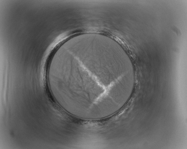 X0000116450343201001051228