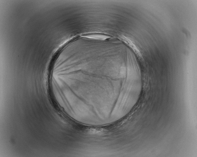 X0000116450346201001051228