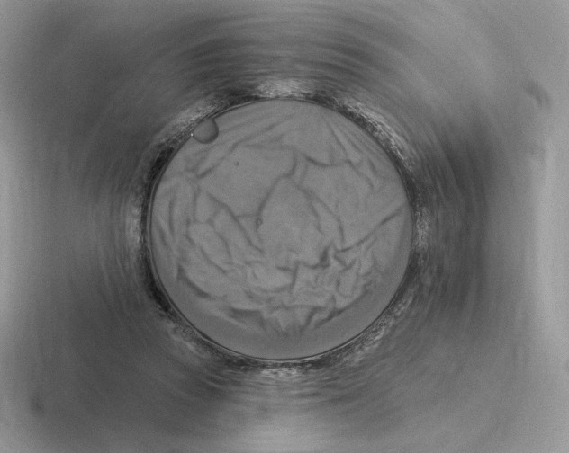 X0000116450353201001051228