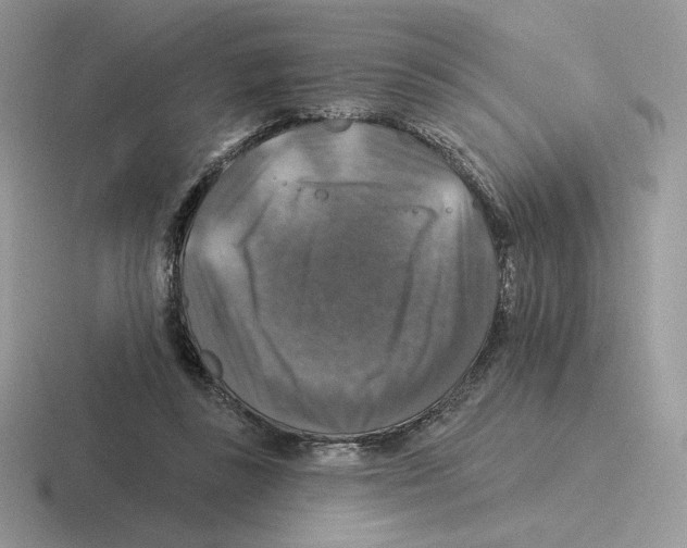 X0000116450355201001051229