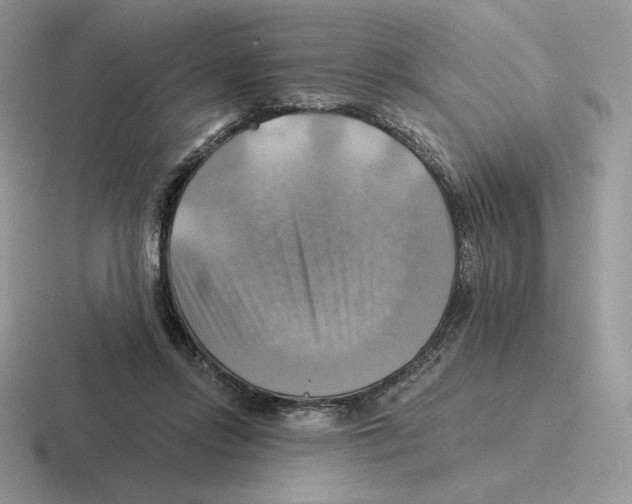 X0000116450358201001051229