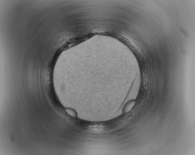 X0000116450362201001051229