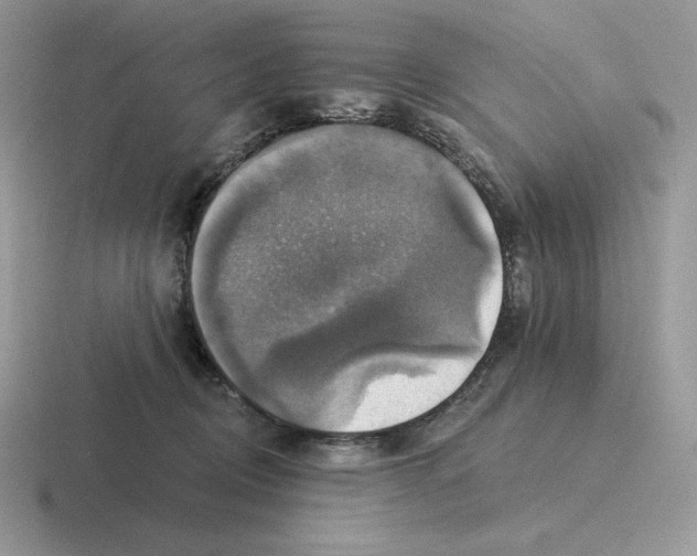 X0000116450370201001051229