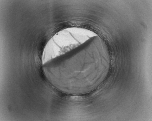 X0000116450371201001051229