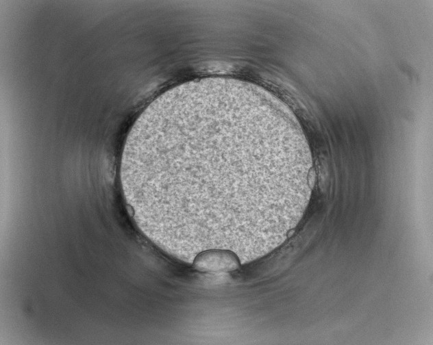 X0000116450374201001051229