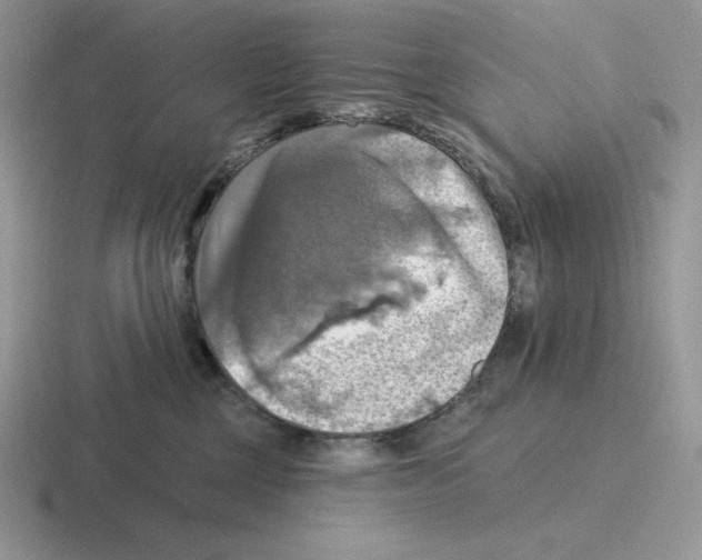 X0000116450377201001051229