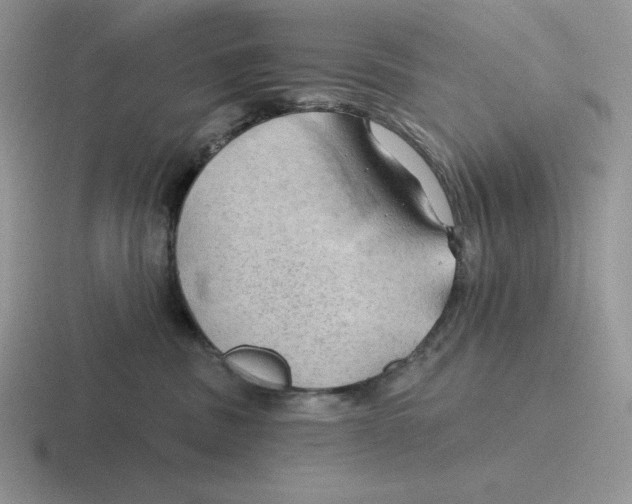 X0000116450379201001051229