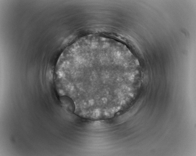 X0000116450382201001051229