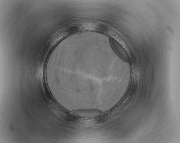 X0000116450386201001051228