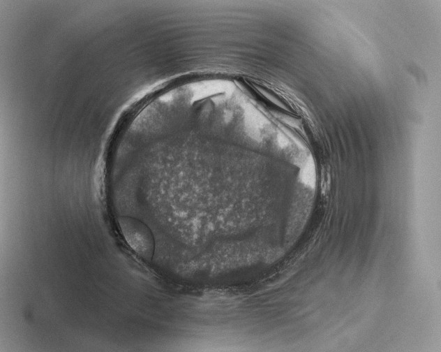 X0000116450388201001051228