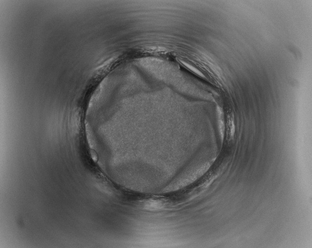 X0000116450412201001051228