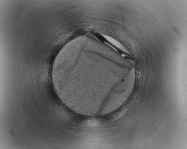 X0000116450416201001051228