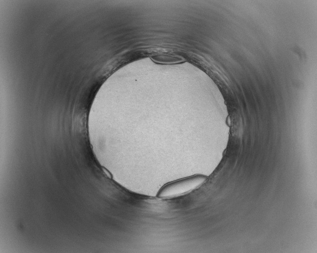 X0000116450425201001051228