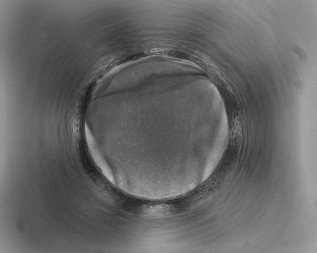 X0000116450452201001051227