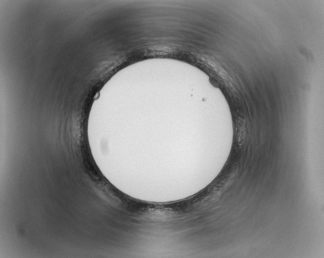 X0000116450455201001051227