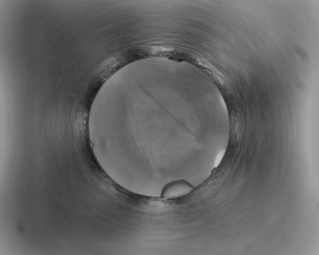 X0000116450475201001051228
