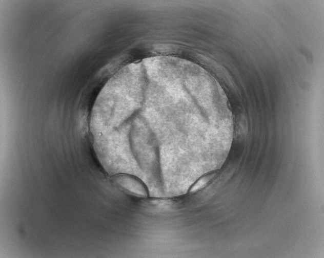 X0000116450478201001051228