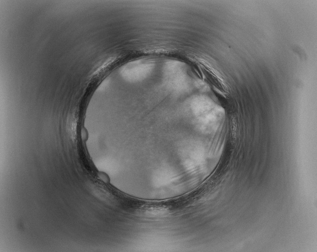 X0000116450491201001051227