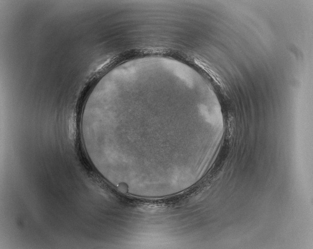 X0000116450494201001051227