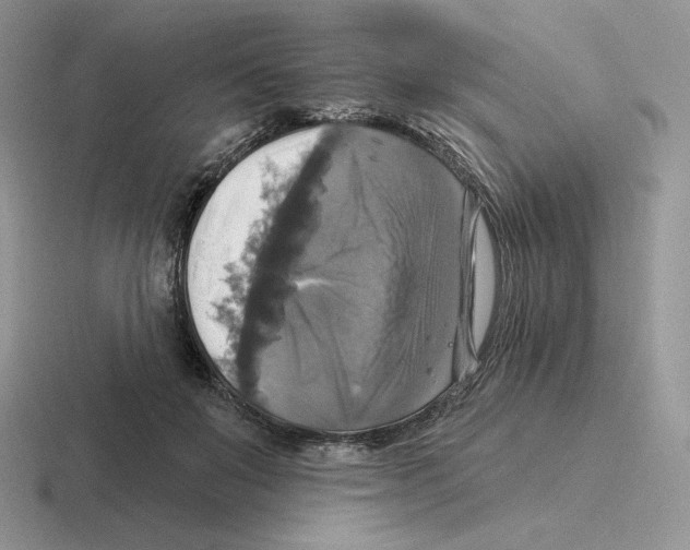 X0000116450503201001051227