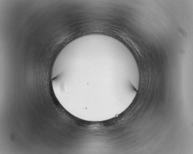 X0000116450505201001051227
