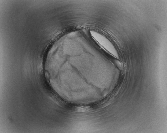 X0000116450508201001051227