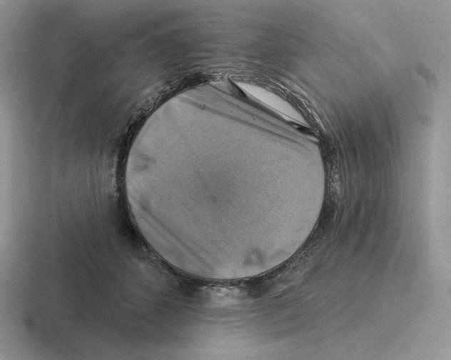 X0000116450512201001051227
