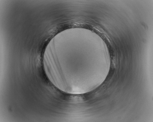 X0000116450520201001051227