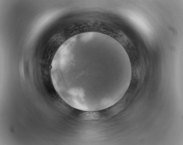 X0000116450526201001051227