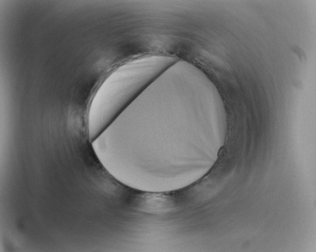 X0000116450528201001051226