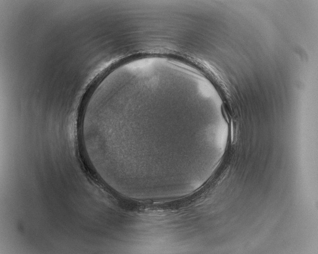 X0000116450531201001051226