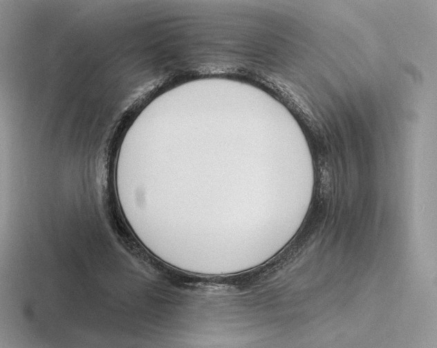 X0000116450539201001051226