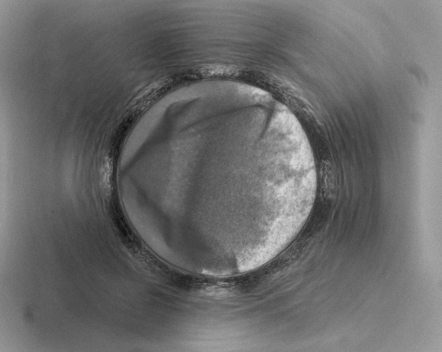 X0000116450550201001051226