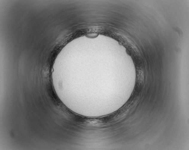 X0000116450557201001051226