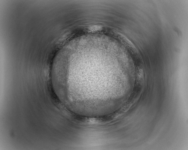 X0000116450565201001051226