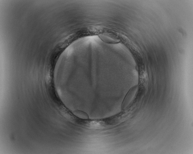X0000116450566201001051226