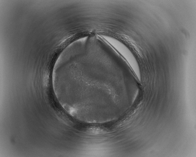 X0000116450596201001051226