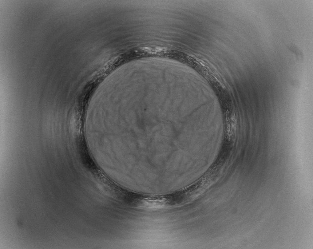 X0000116450606201001051225