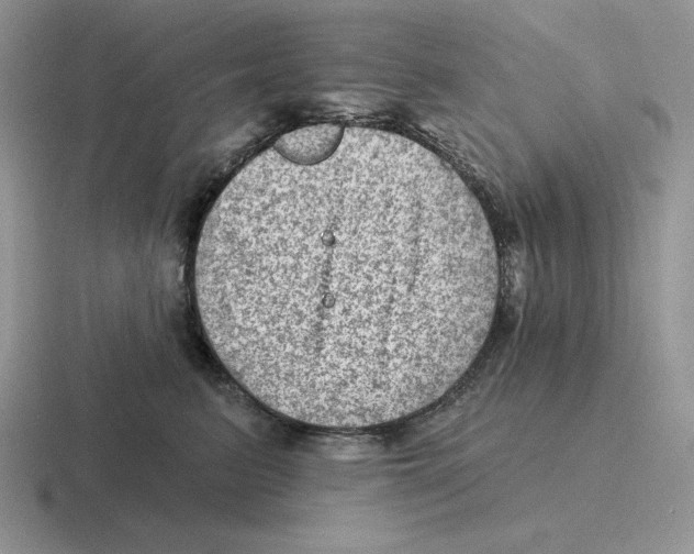 X0000116450615201001051225