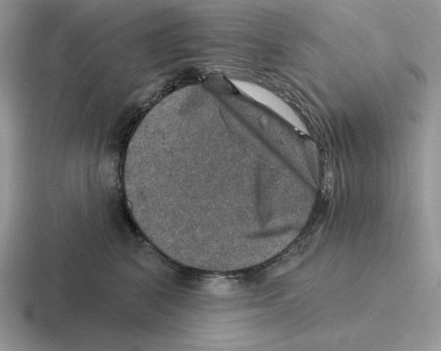 X0000116450616201001051225