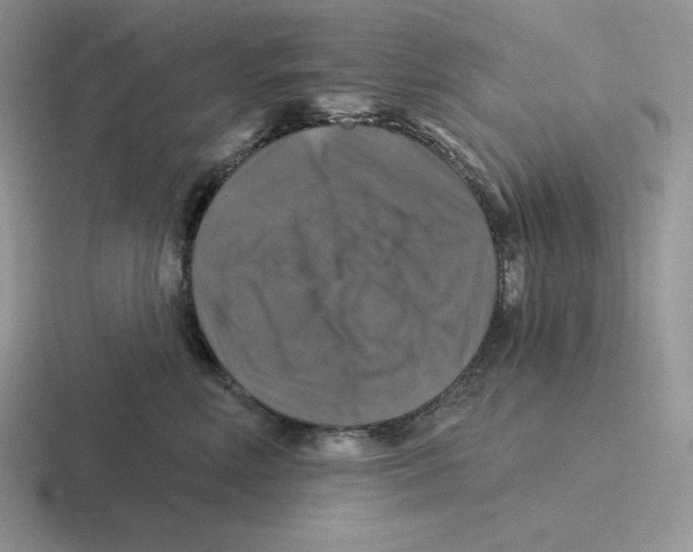 X0000116450618201001051225