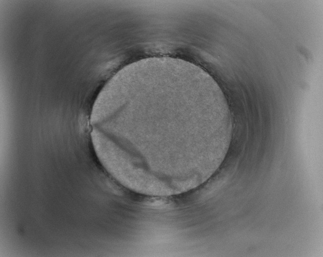X0000116450624201001051225