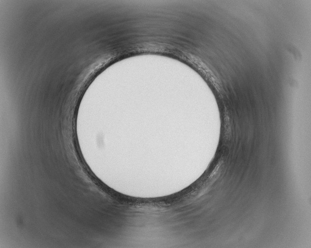 X0000116450625201001051225