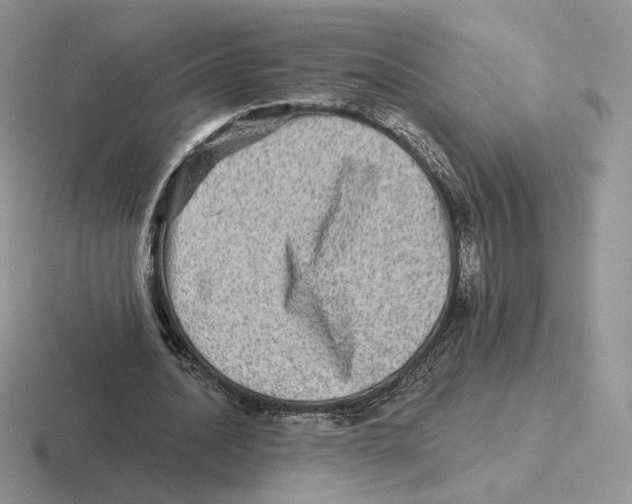 X0000116450628201001051225