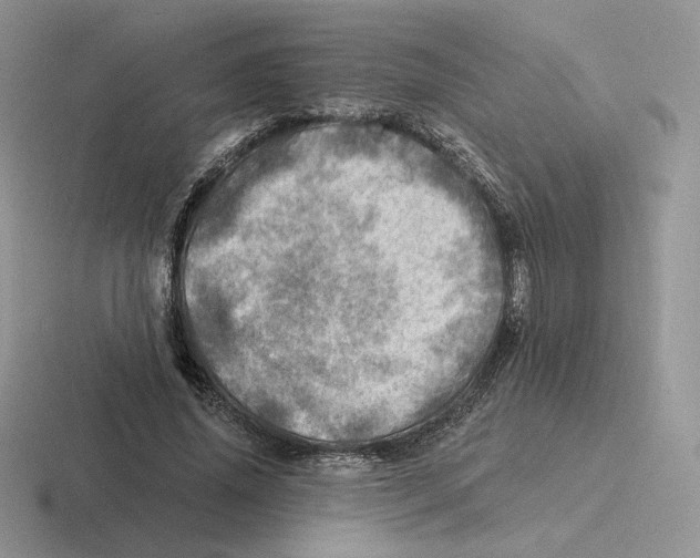 X0000116450636201001051225