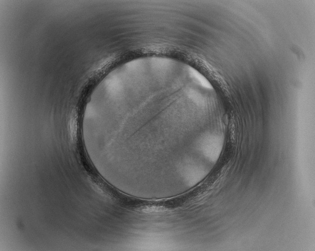 X0000116450637201001051225