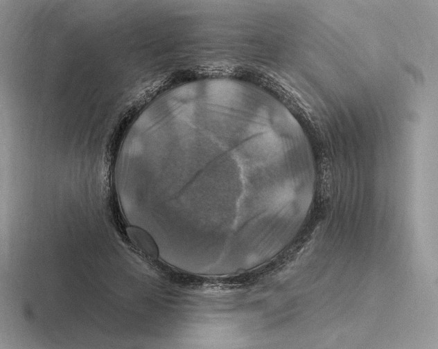 X0000116450641201001051225